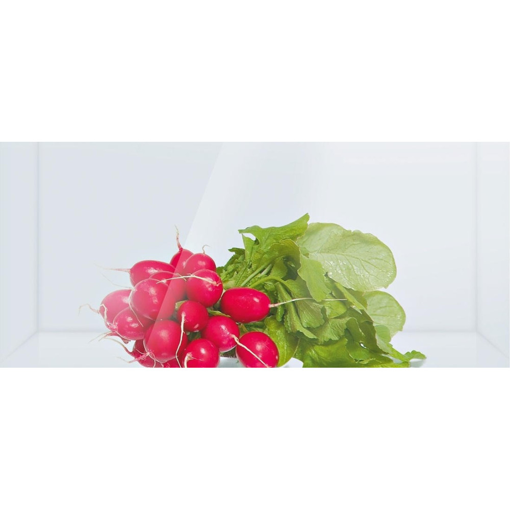 Двухкамерный холодильник Bosch KGN 49SQ21 R