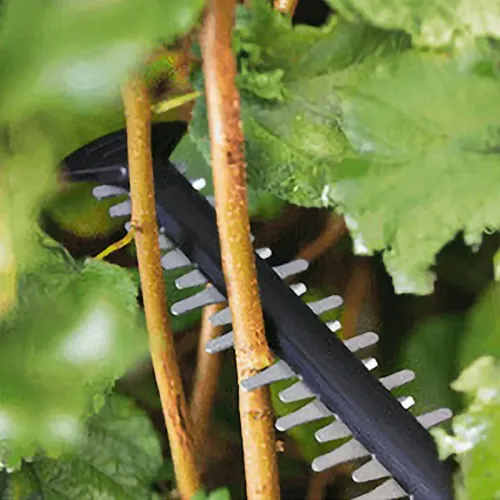 Bosch UniversalHedgeCut 18V-55 Set аккумуляторный кусторез (1 x 2.5 Ач, ЗУ), 0600849J01