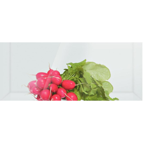 Двухкамерный холодильник Bosch KGN 49SM22 R